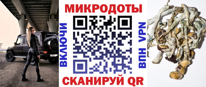 Псилоцибиновые грибы GOLDEN TEACHER  Купить где  Мелеуз 